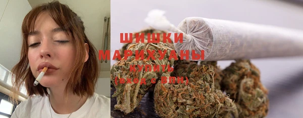 твердый Нягань