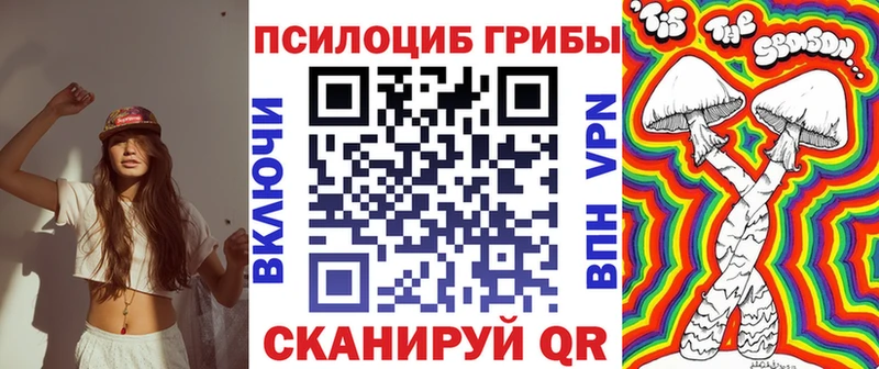 где купить наркоту  KRAKEN как войти  Псилоцибиновые грибы GOLDEN TEACHER  darknet какой сайт  Безенчук 